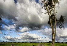 AYX-AC米兰训练开放日；冲刺阶段更衣室发声引欢呼；NBA总决赛在即；年轻球员得到机会的简单介绍